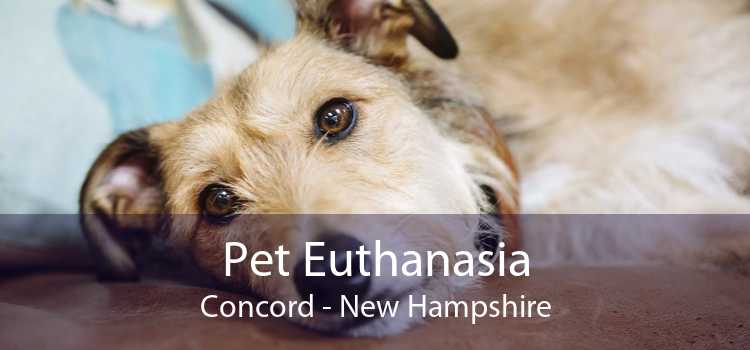 Pet Euthanasia Concord - New Hampshire