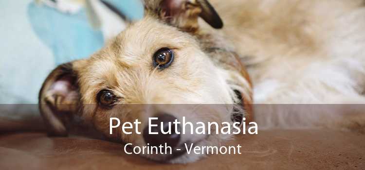 Pet Euthanasia Corinth - Vermont