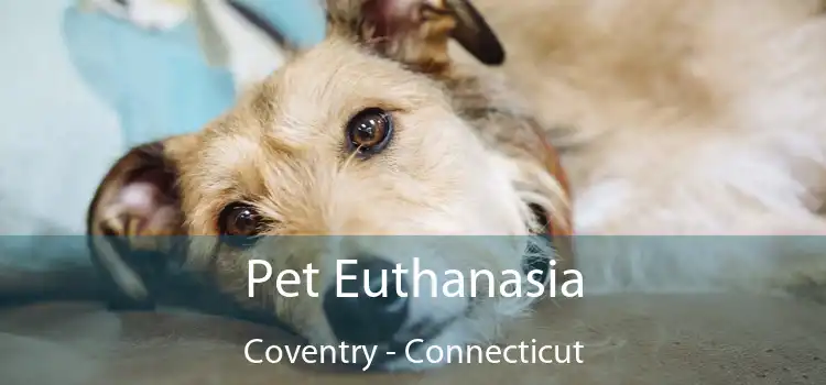 Pet Euthanasia Coventry - Connecticut