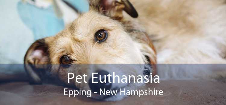 Pet Euthanasia Epping - New Hampshire