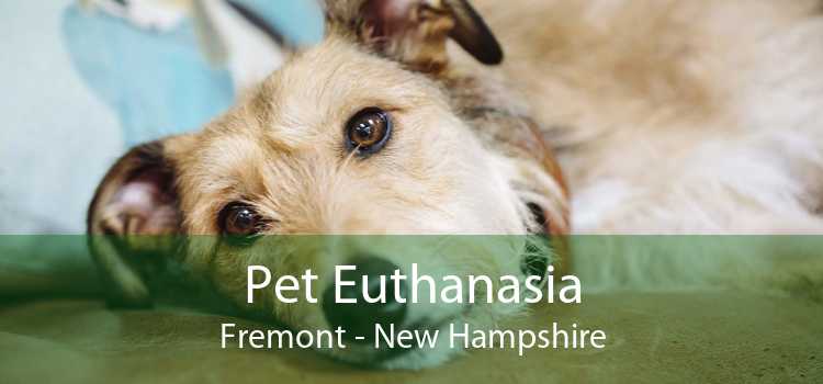 Pet Euthanasia Fremont - New Hampshire