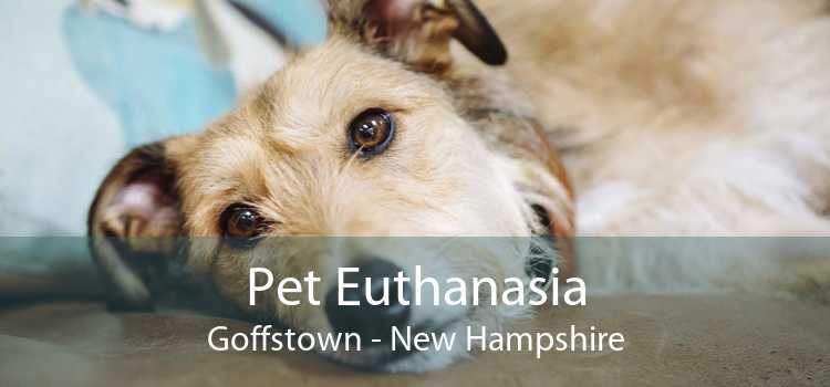 Pet Euthanasia Goffstown - New Hampshire
