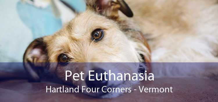Pet Euthanasia Hartland Four Corners - Vermont