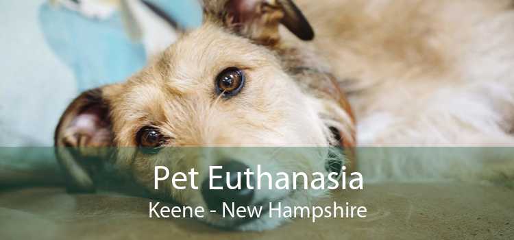 Pet Euthanasia Keene - New Hampshire
