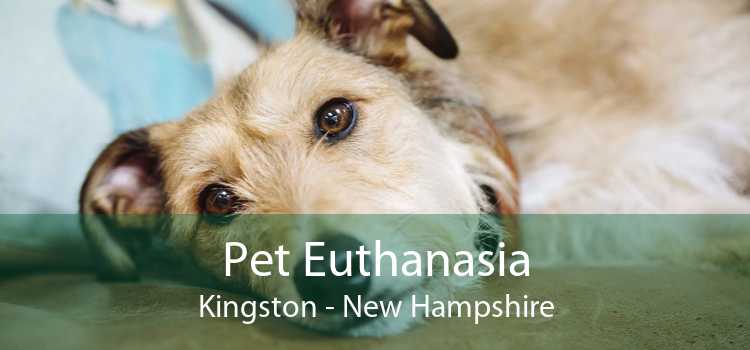 Pet Euthanasia Kingston - New Hampshire