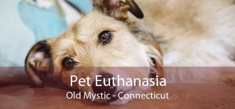 Pet Euthanasia Old Mystic - Connecticut