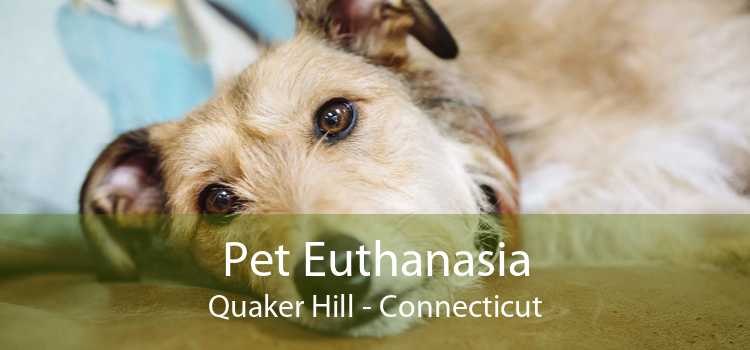 Pet Euthanasia Quaker Hill - Connecticut