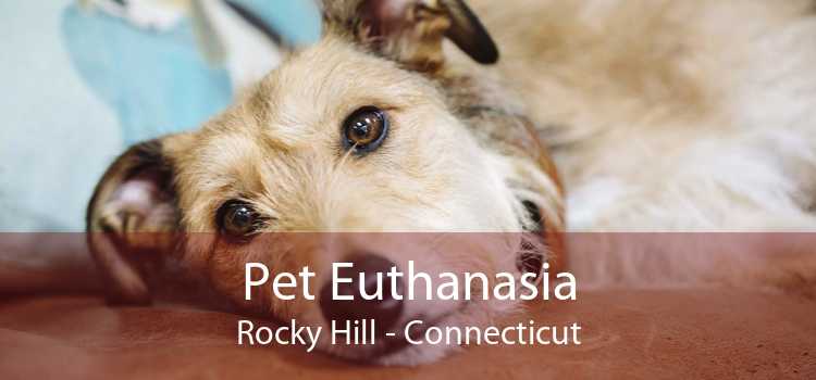 Pet Euthanasia Rocky Hill - Connecticut