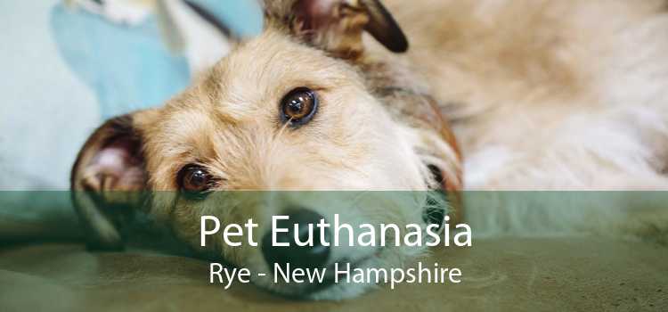 Pet Euthanasia Rye - New Hampshire