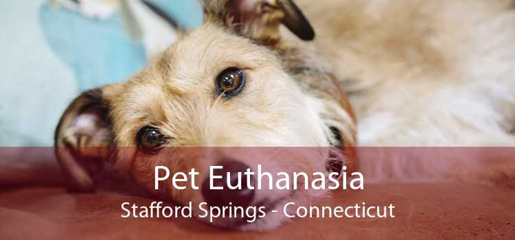 Pet Euthanasia Stafford Springs - Connecticut