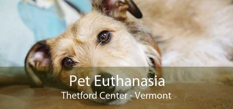Pet Euthanasia Thetford Center - Vermont