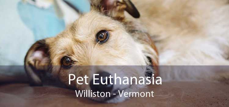Pet Euthanasia Williston - Vermont