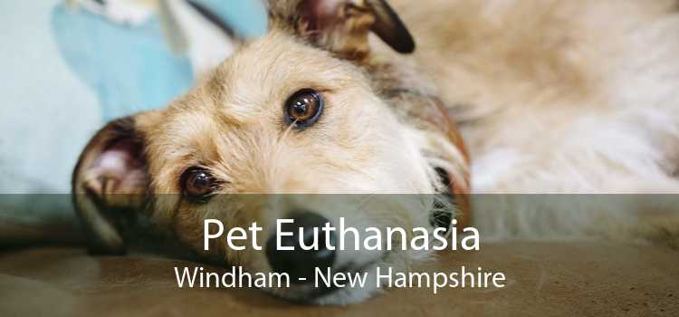 Pet Euthanasia Windham - New Hampshire