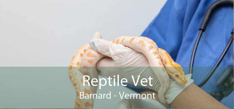 Reptile Vet Barnard - Vermont