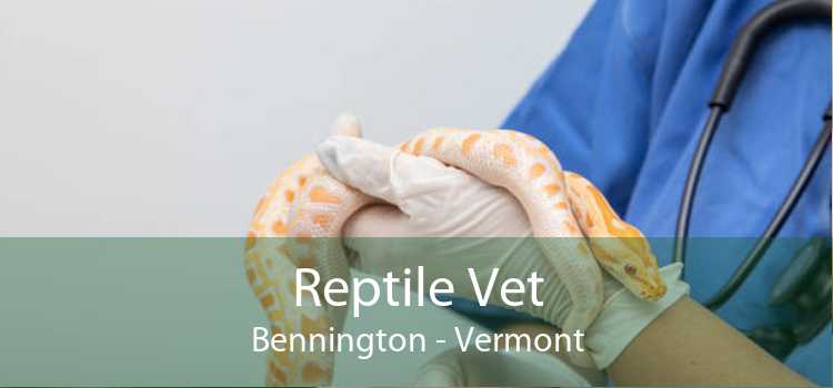 Reptile Vet Bennington - Vermont
