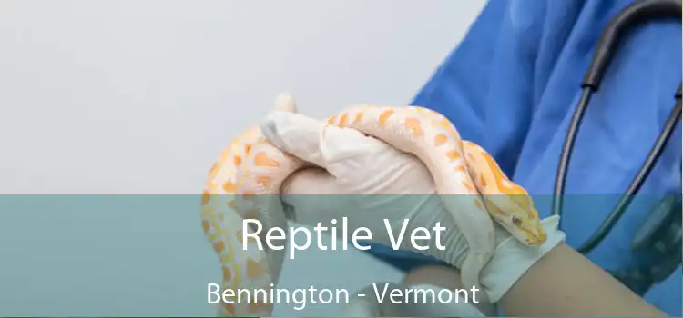 Reptile Vet Bennington - Vermont