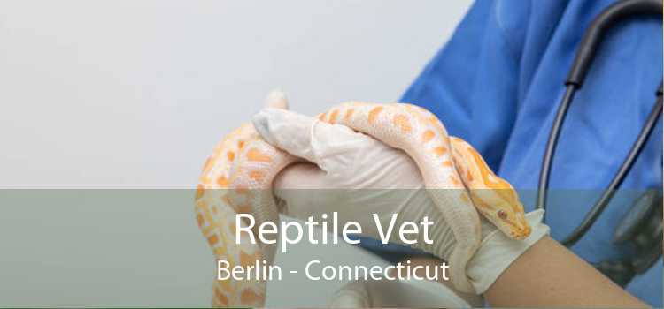 Reptile Vet Berlin - Connecticut