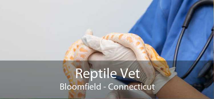 Reptile Vet Bloomfield - Connecticut