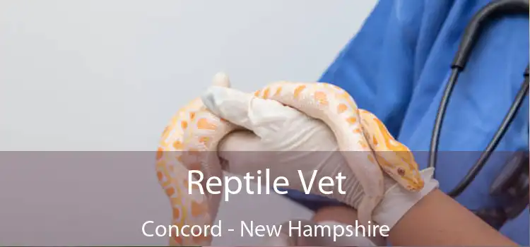Reptile Vet Concord - New Hampshire