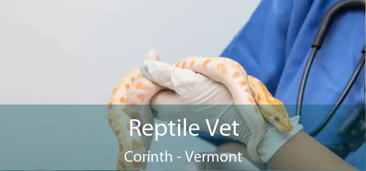 Reptile Vet Corinth - Vermont