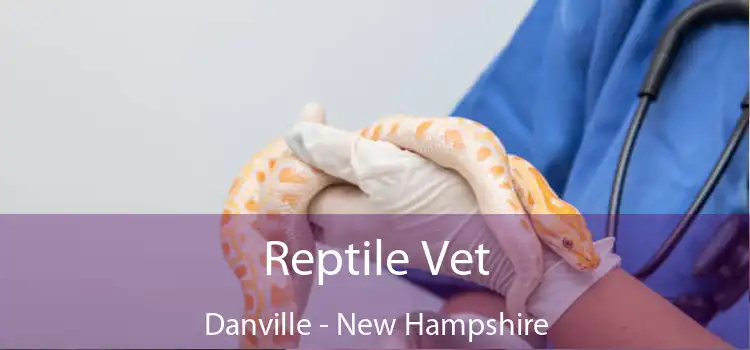 Reptile Vet Danville - New Hampshire