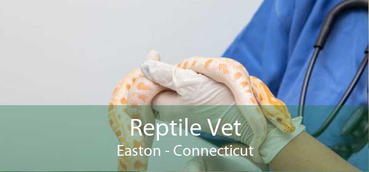 Reptile Vet Easton - Connecticut
