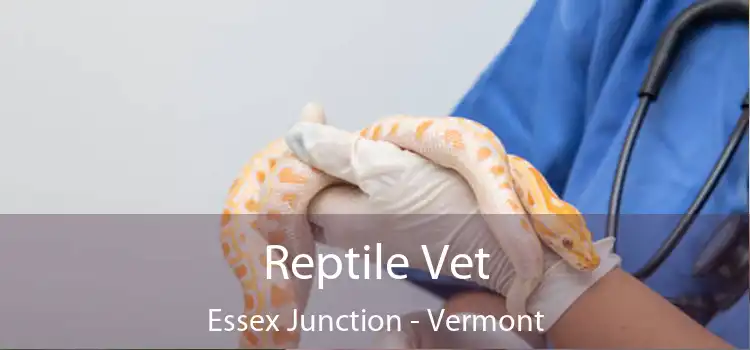 Reptile Vet Essex Junction - Vermont