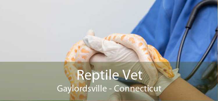 Reptile Vet Gaylordsville - Connecticut