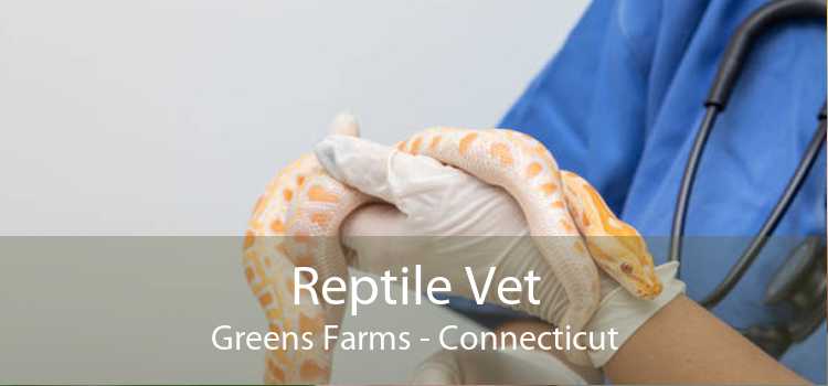 Reptile Vet Greens Farms - Connecticut
