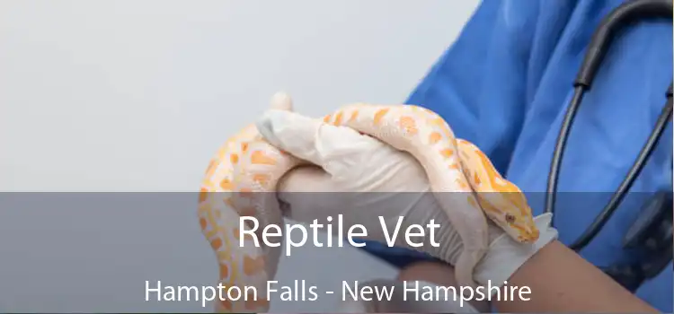 Reptile Vet Hampton Falls - New Hampshire