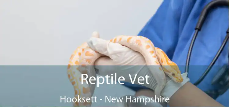 Reptile Vet Hooksett - New Hampshire