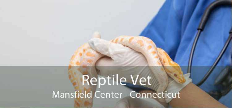 Reptile Vet Mansfield Center - Connecticut