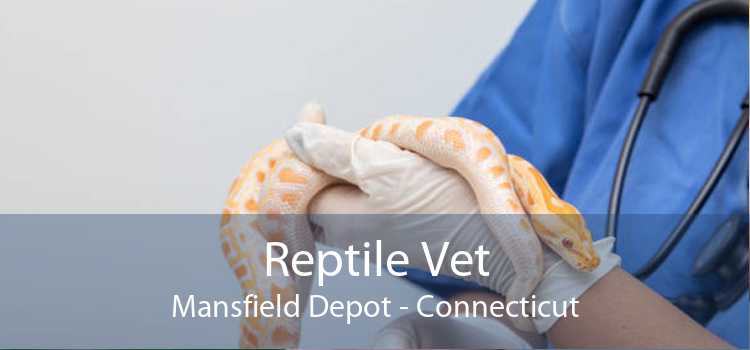 Reptile Vet Mansfield Depot - Connecticut