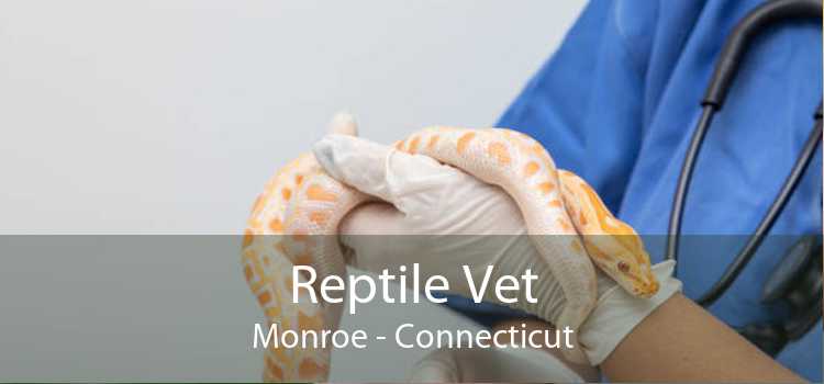 Reptile Vet Monroe - Connecticut