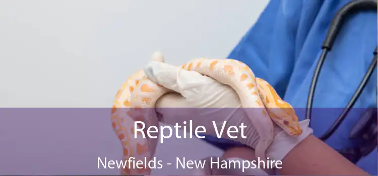 Reptile Vet Newfields - New Hampshire