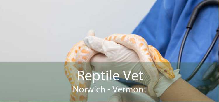 Reptile Vet Norwich - Vermont