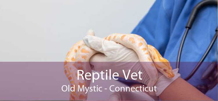 Reptile Vet Old Mystic - Connecticut