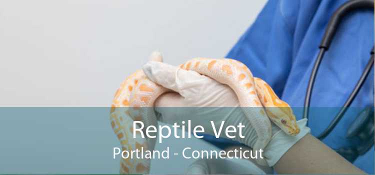 Reptile Vet Portland - Connecticut