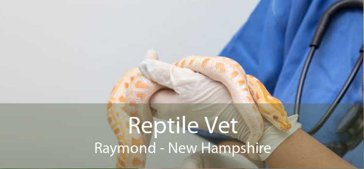 Reptile Vet Raymond - New Hampshire