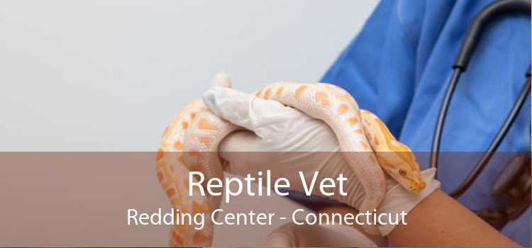 Reptile Vet Redding Center - Connecticut