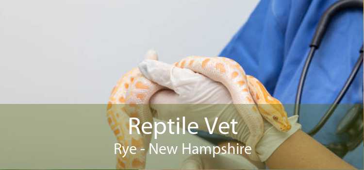 Reptile Vet Rye - New Hampshire