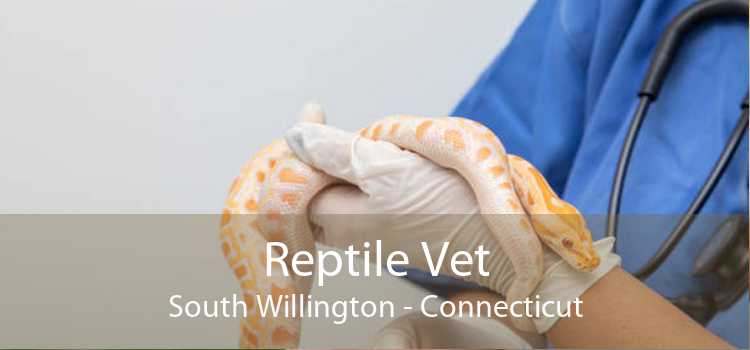 Reptile Vet South Willington - Connecticut