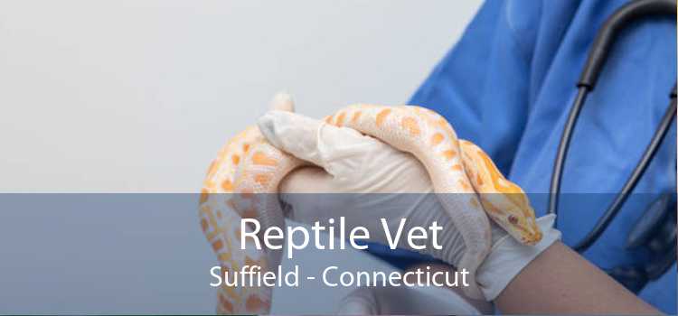 Reptile Vet Suffield - Connecticut