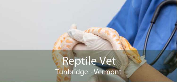 Reptile Vet Tunbridge - Vermont