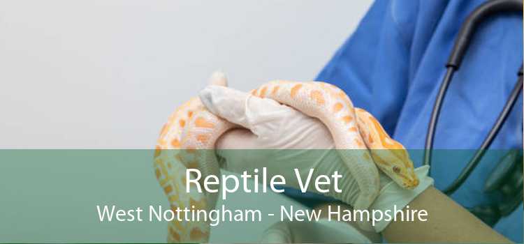 Reptile Vet West Nottingham - New Hampshire