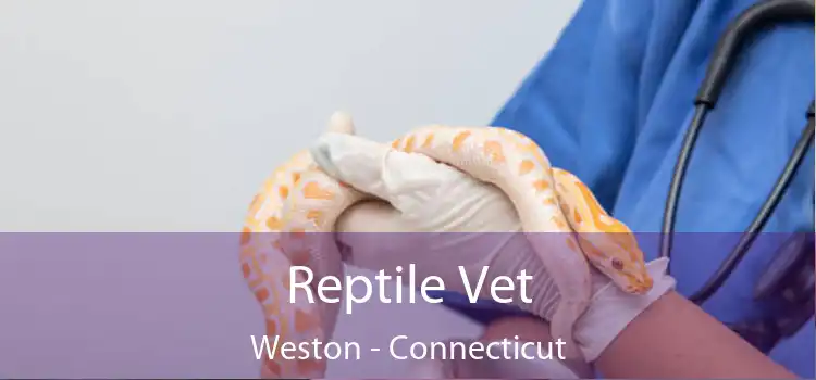Reptile Vet Weston - Connecticut
