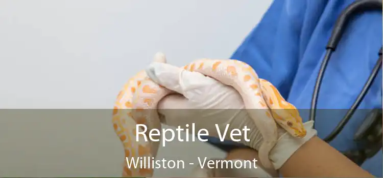 Reptile Vet Williston - Vermont