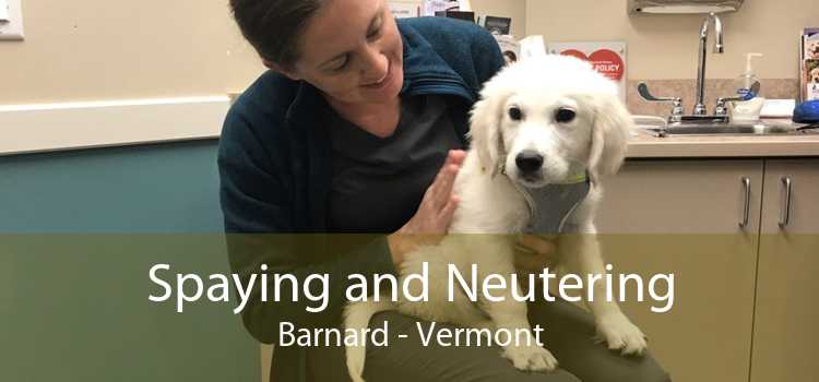 Spaying and Neutering Barnard - Vermont