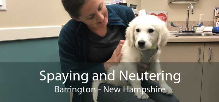 Spaying and Neutering Barrington - New Hampshire