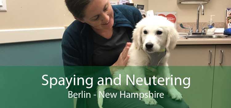 Spaying and Neutering Berlin - New Hampshire